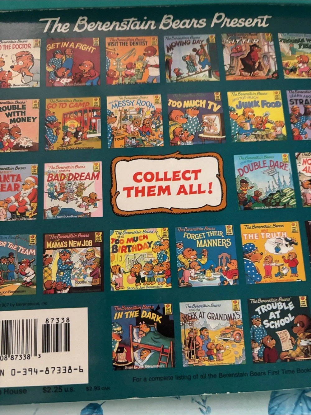 The Berenstain Bears Go Out for the Team